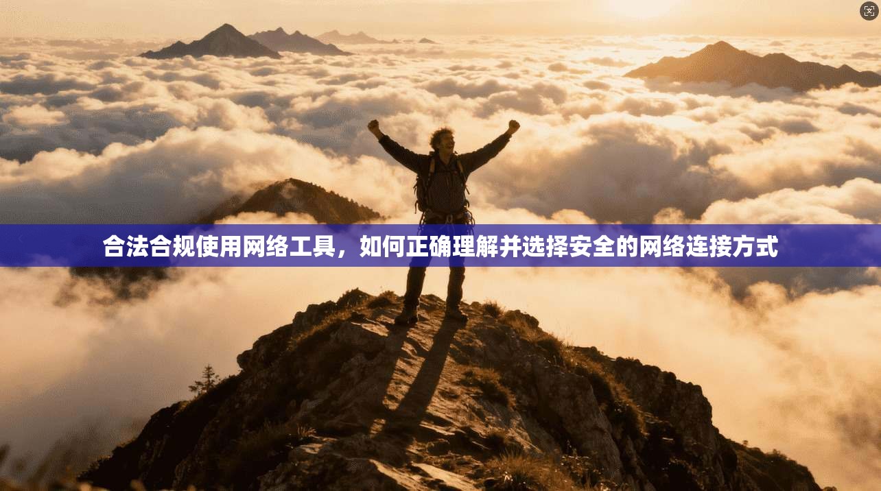 合法合规使用网络工具,如何正确理解并选择安全的网络连接方式 合法合规使用网络工具,如何正确理解并选择安全的网络连接方式