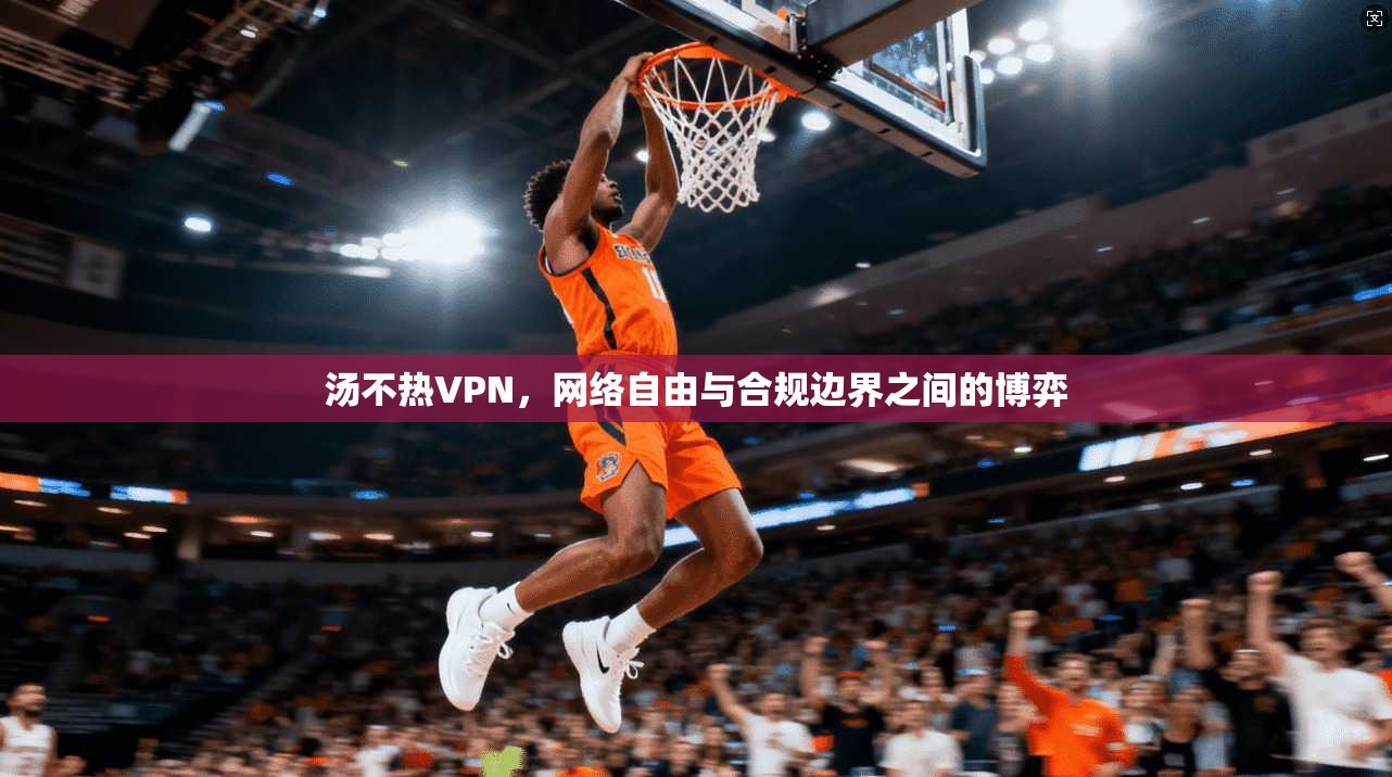 汤不热VPN，网络自由与合规边界之间的博弈