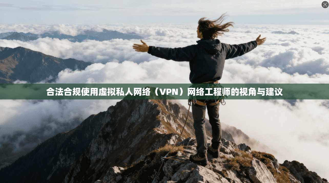 合法合规使用虚拟私人网络（VPN）网络工程师的视角与建议
