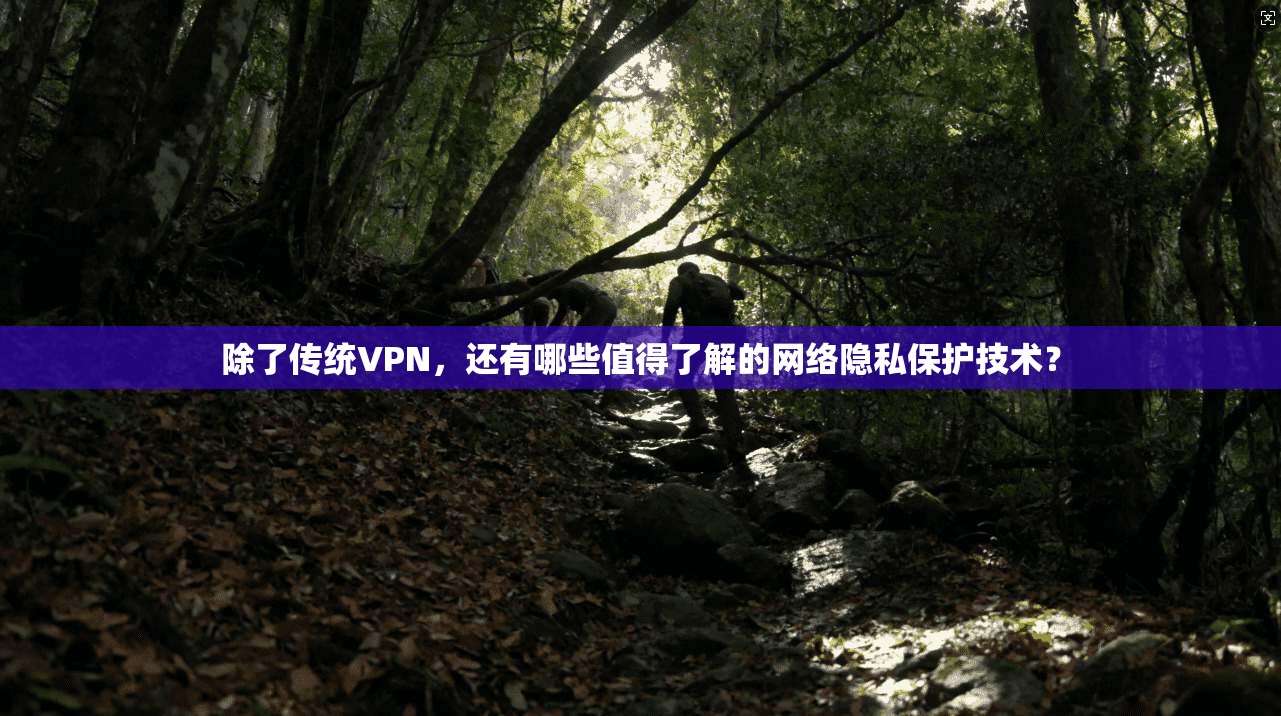 除了传统VPN,还有哪些值得了解的网络隐私保护技术? 除了传统VPN,还有哪些值得了解的网络隐私保护技术?