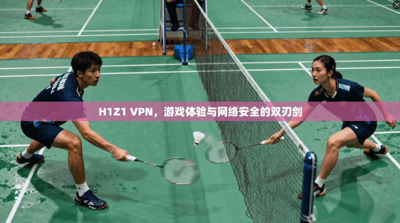H1Z1 VPN，游戏体验与网络安全的双刃剑