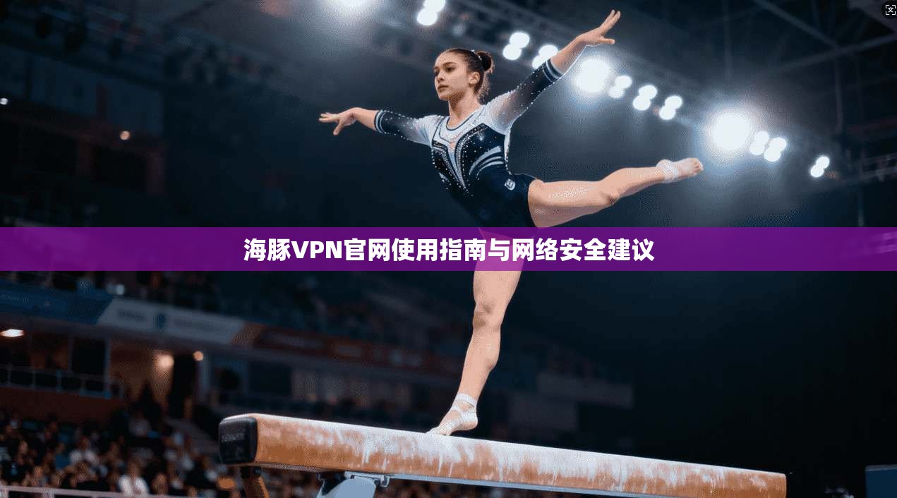 海豚VPN官网使用指南与网络安全建议
