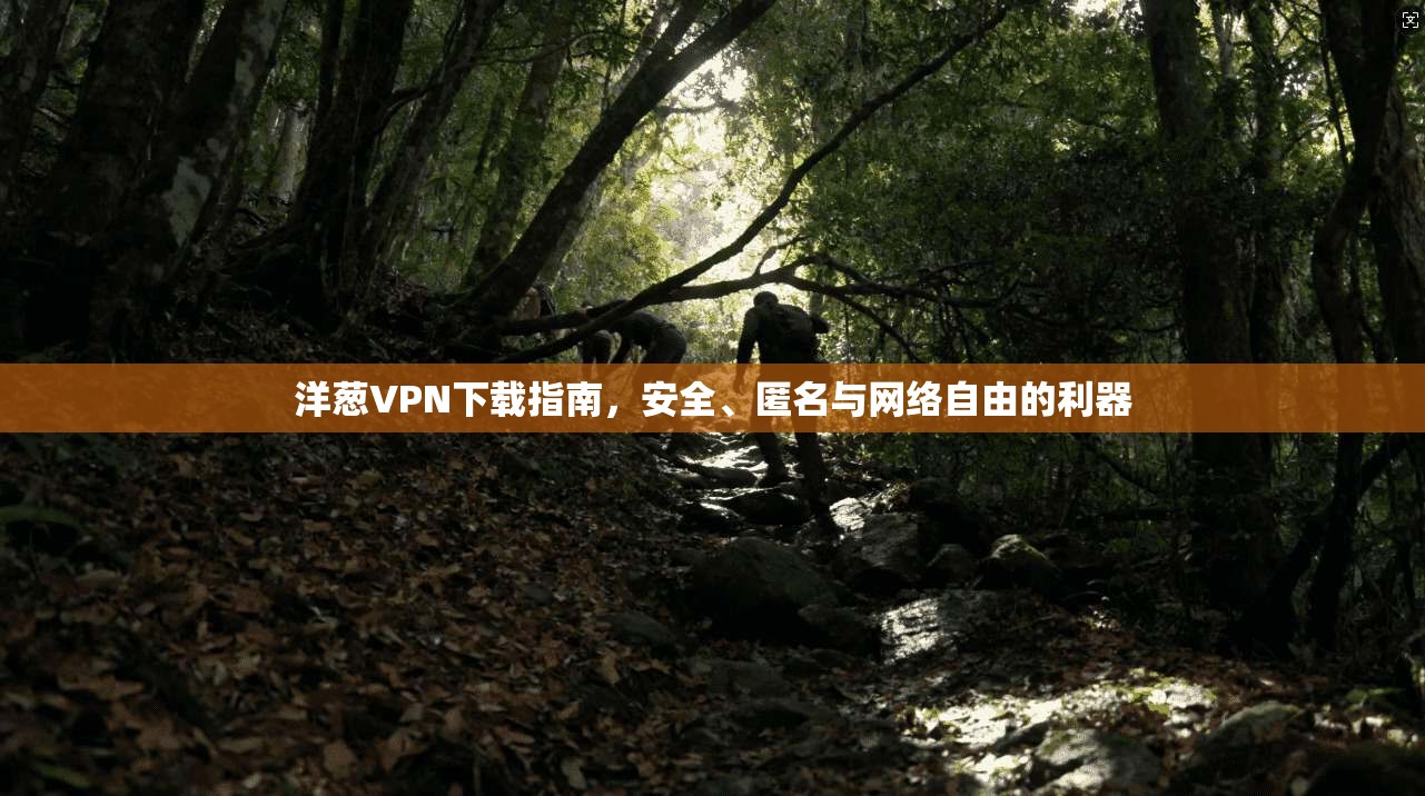 洋葱VPN下载指南，安全、匿名与网络自由的利器
