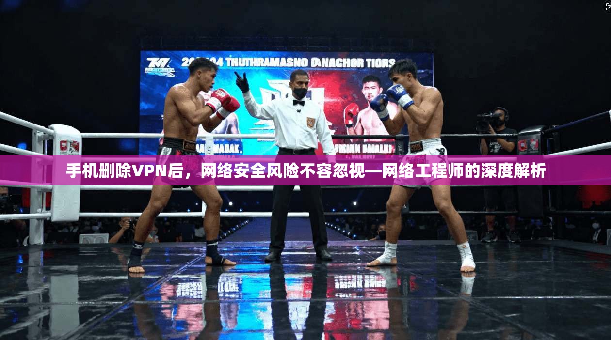 手机删除VPN后,网络安全风险不容忽视—网络工程师的深度解析 手机删除VPN后,网络安全风险不容忽视—网络工程师的深度解析