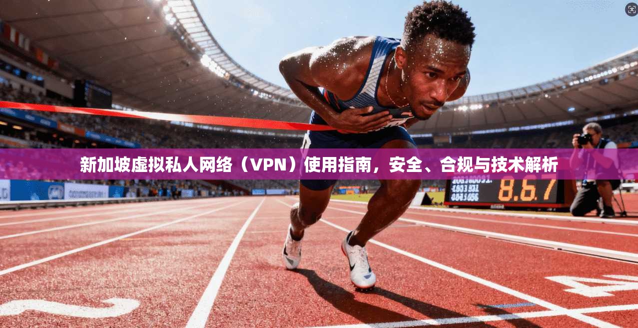 新加坡虚拟私人网络（VPN）使用指南，安全、合规与技术解析