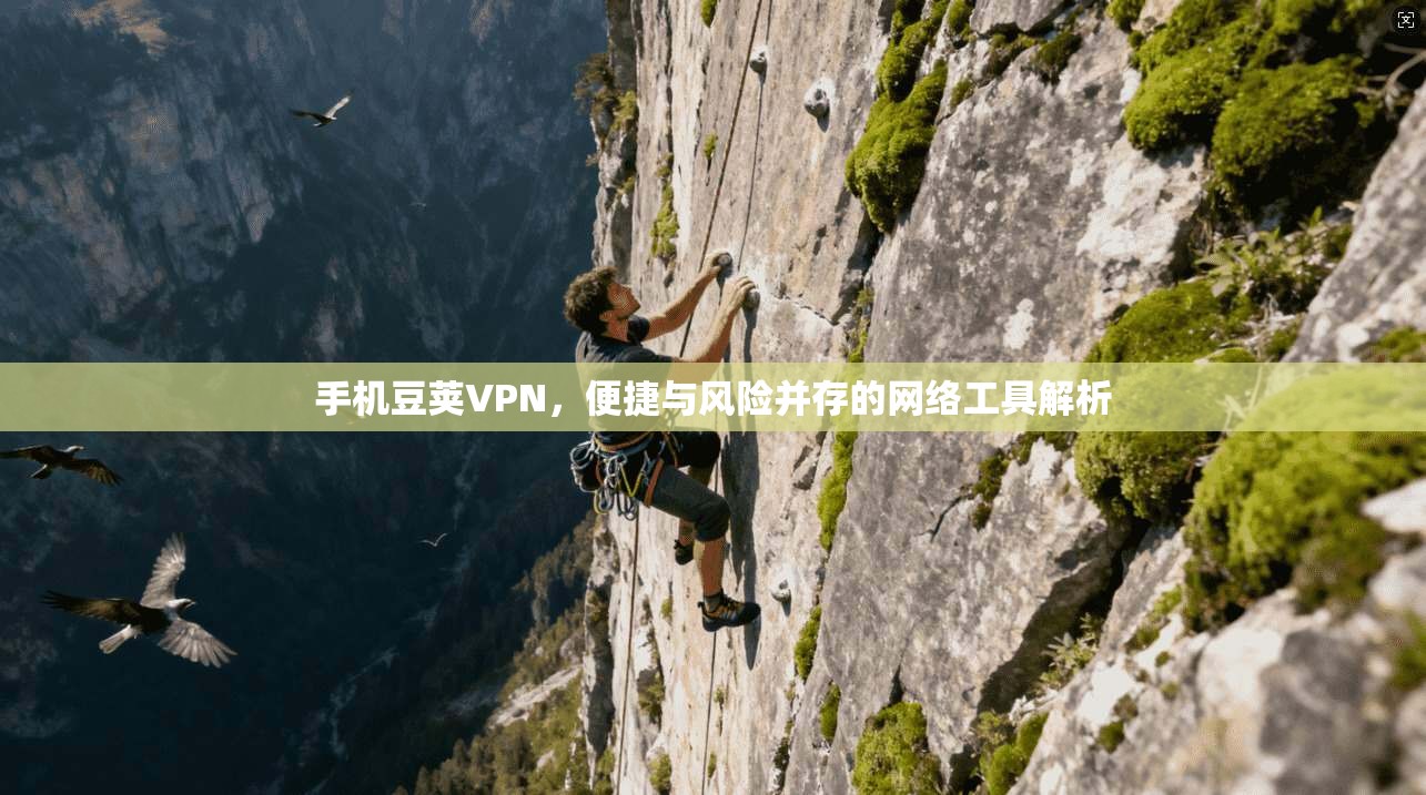 手机豆荚VPN，便捷与风险并存的网络工具解析