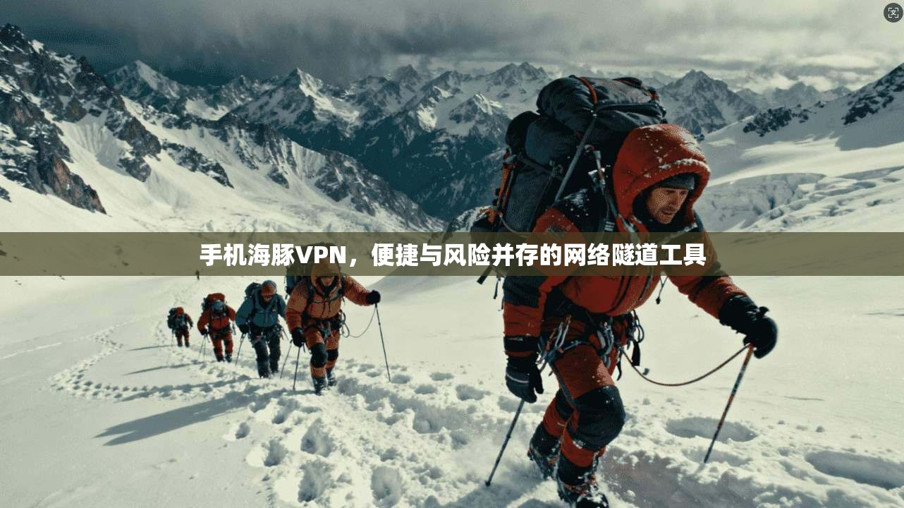 手机海豚VPN，便捷与风险并存的网络隧道工具
