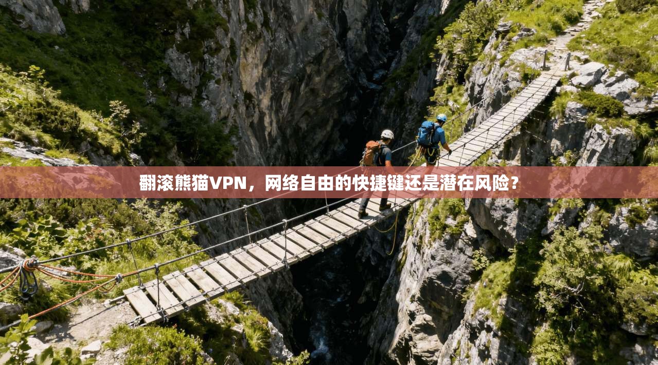 翻滚熊猫VPN，网络自由的快捷键还是潜在风险？