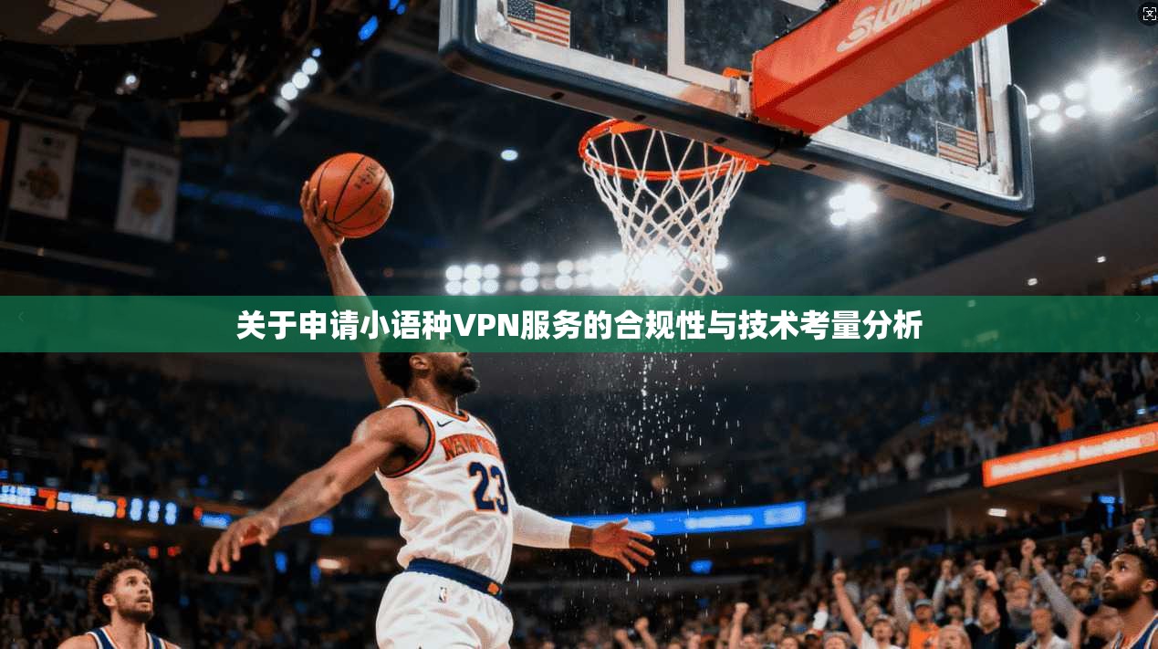 关于申请小语种VPN服务的合规性与技术考量分析