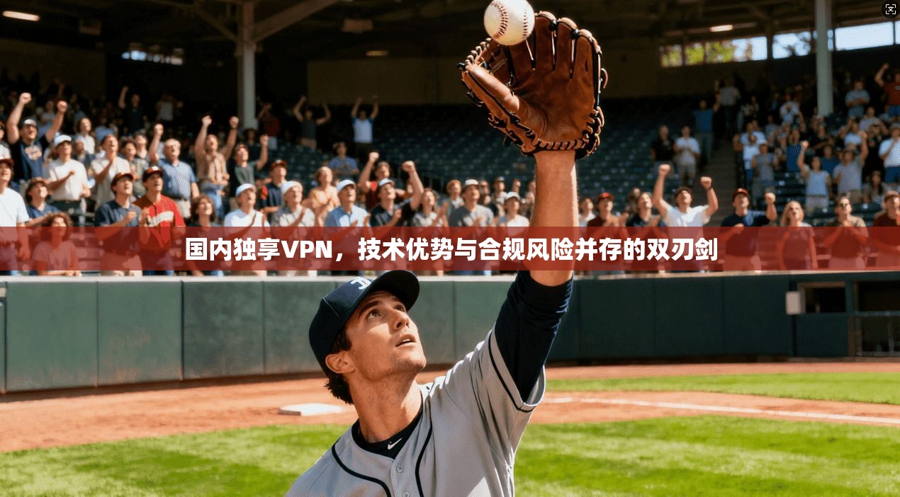 国内独享VPN，技术优势与合规风险并存的双刃剑