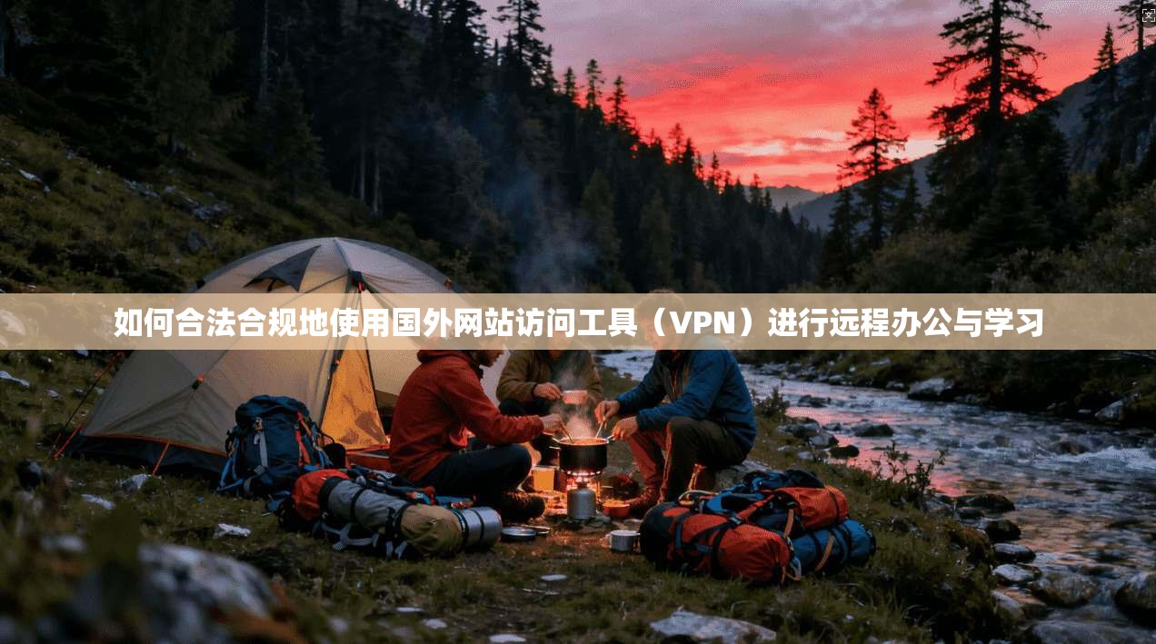 如何合法合规地使用国外网站访问工具（VPN）进行远程办公与学习