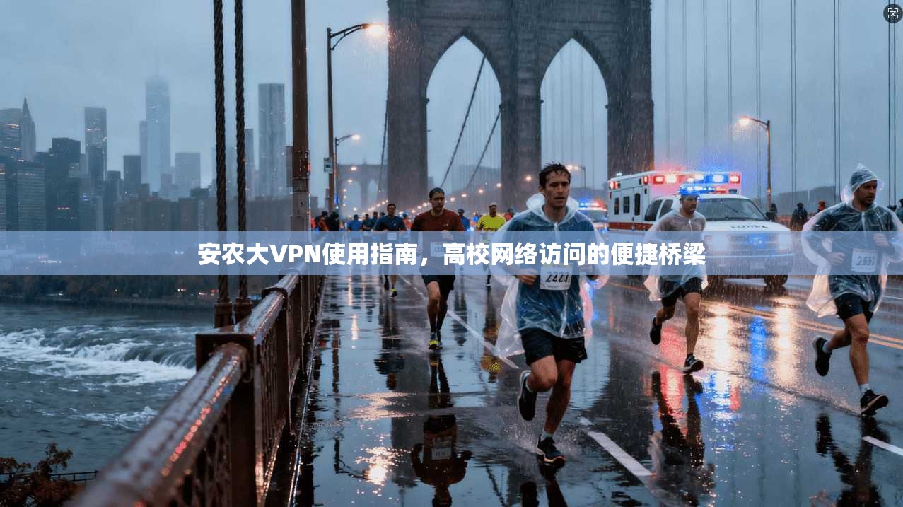 安农大VPN使用指南，高校网络访问的便捷桥梁