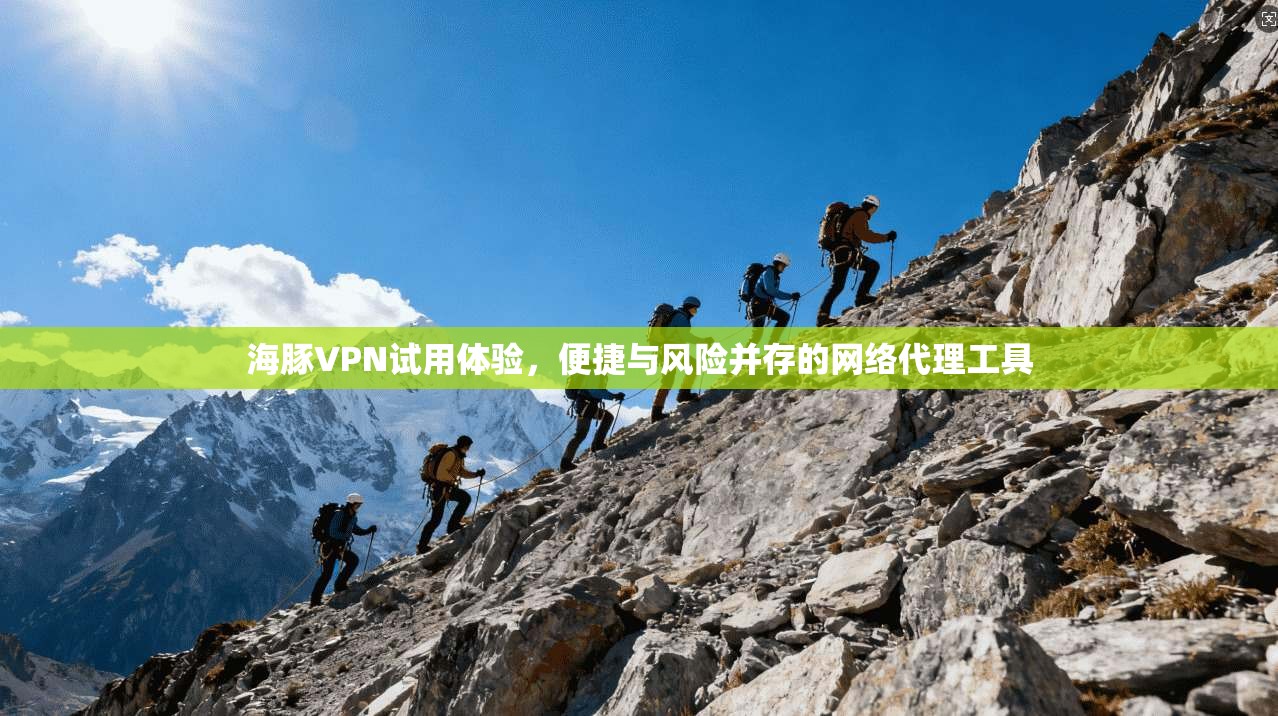 海豚VPN试用体验，便捷与风险并存的网络代理工具