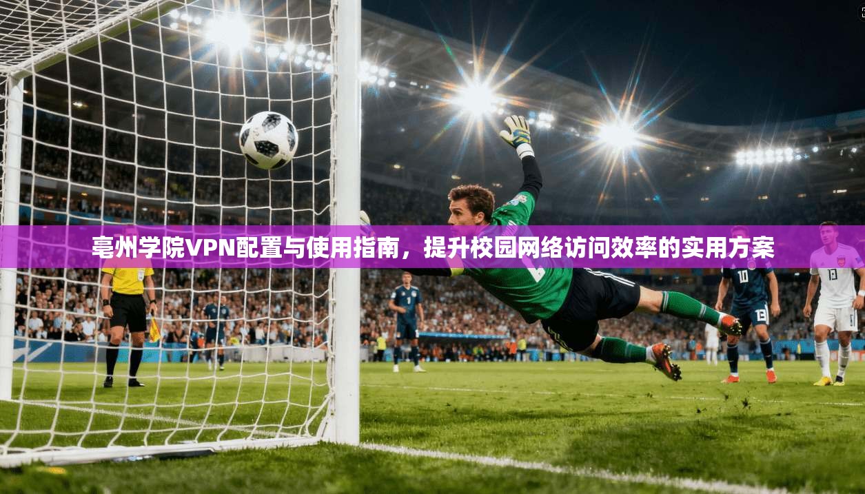 亳州学院VPN配置与使用指南，提升校园网络访问效率的实用方案