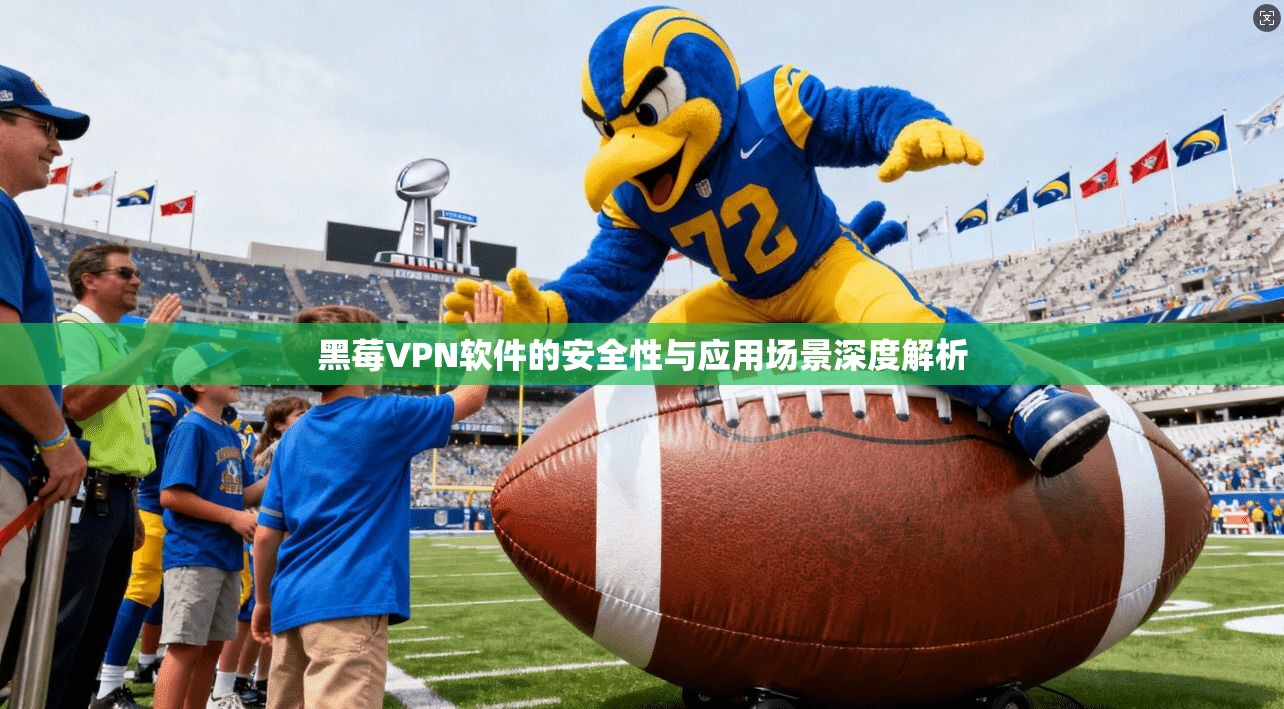 黑莓VPN软件的安全性与应用场景深度解析