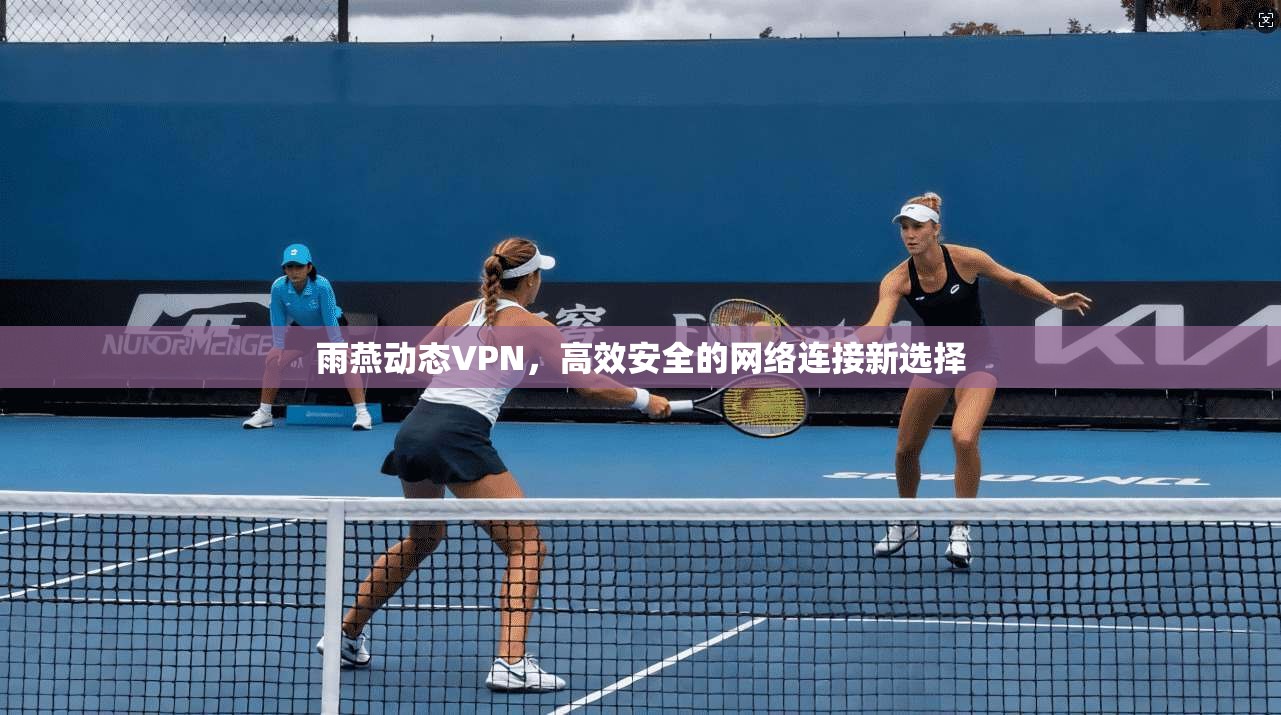 雨燕动态VPN,高效安全的网络连接新选择 雨燕动态VPN,高效安全的网络连接新选择