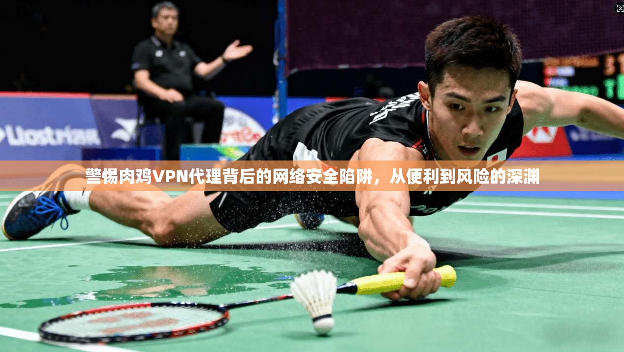 警惕肉鸡VPN代理背后的网络安全陷阱，从便利到风险的深渊