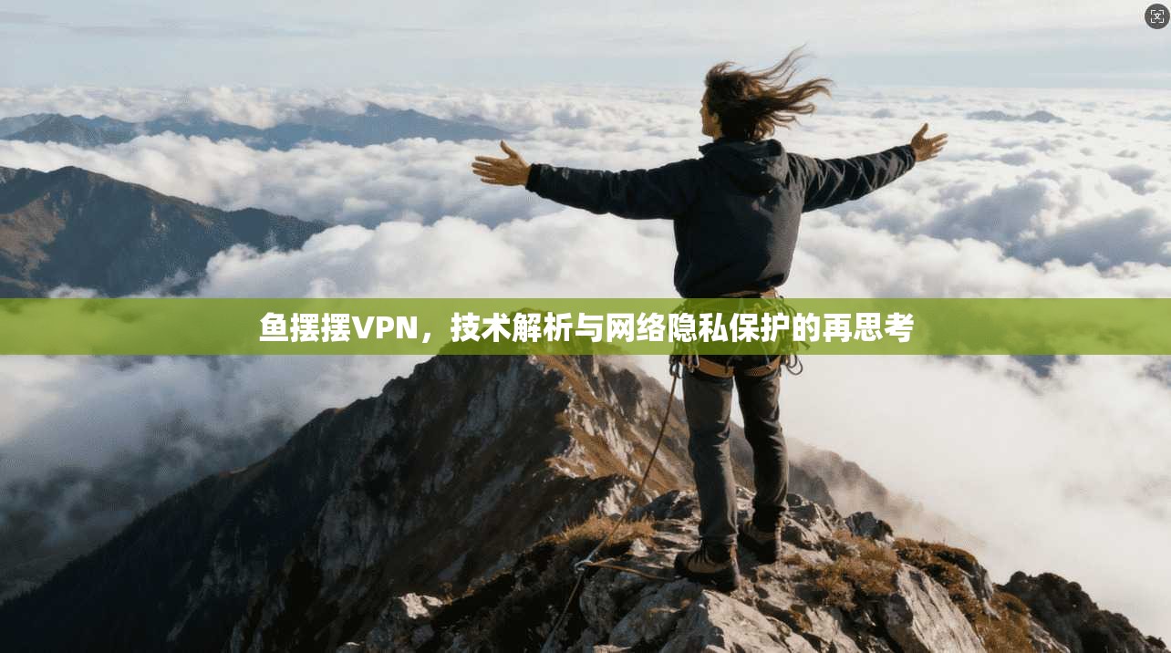 鱼摆摆VPN，技术解析与网络隐私保护的再思考