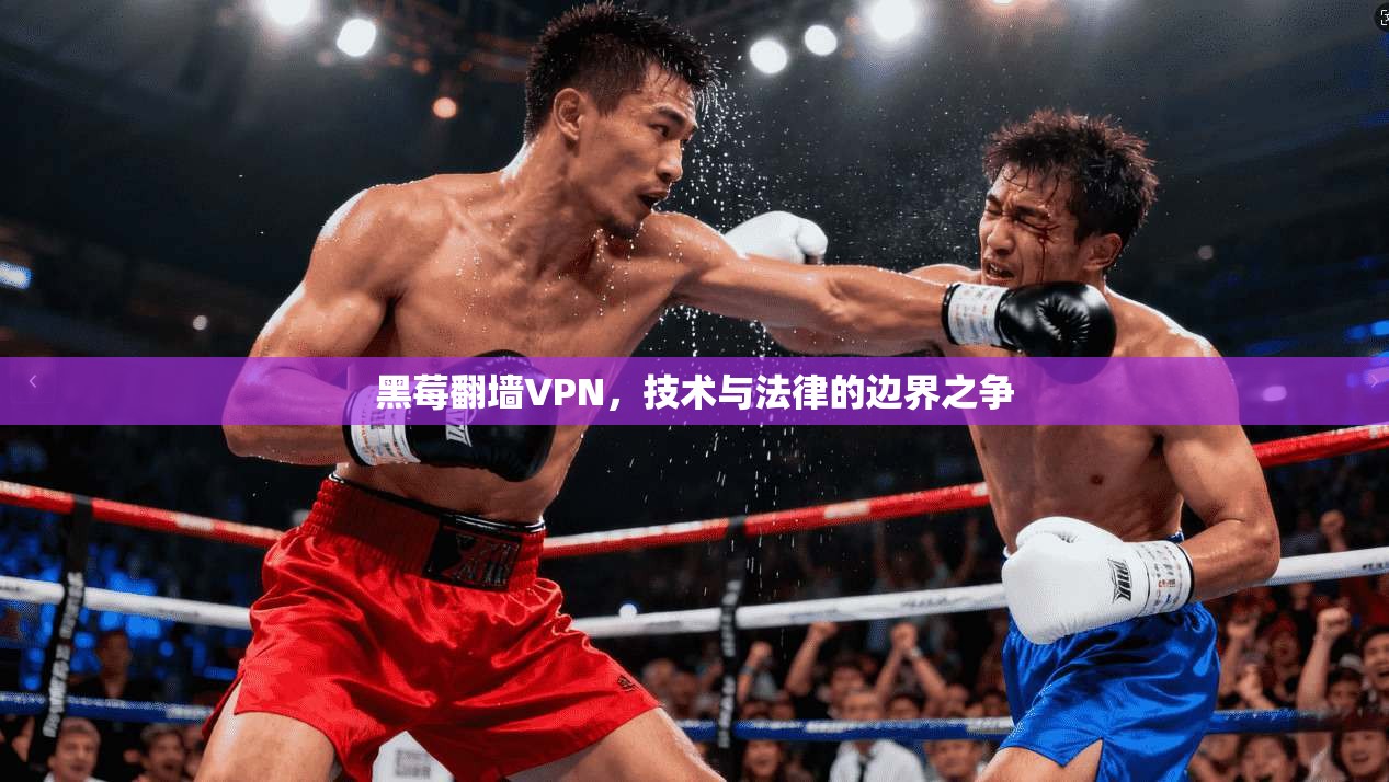 黑莓翻墙VPN，技术与法律的边界之争