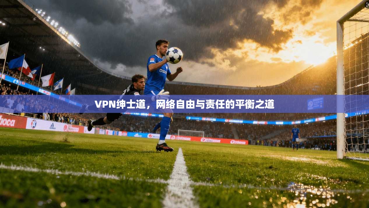 VPN绅士道，网络自由与责任的平衡之道
