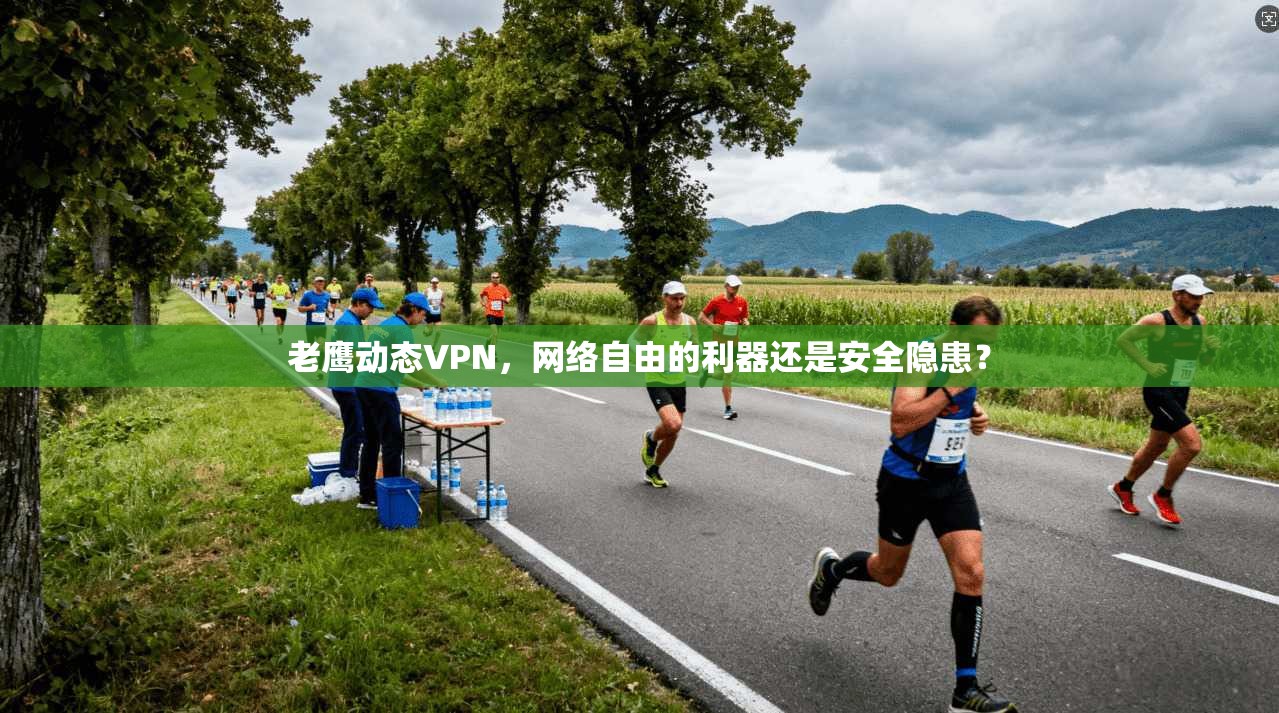老鹰动态VPN，网络自由的利器还是安全隐患？
