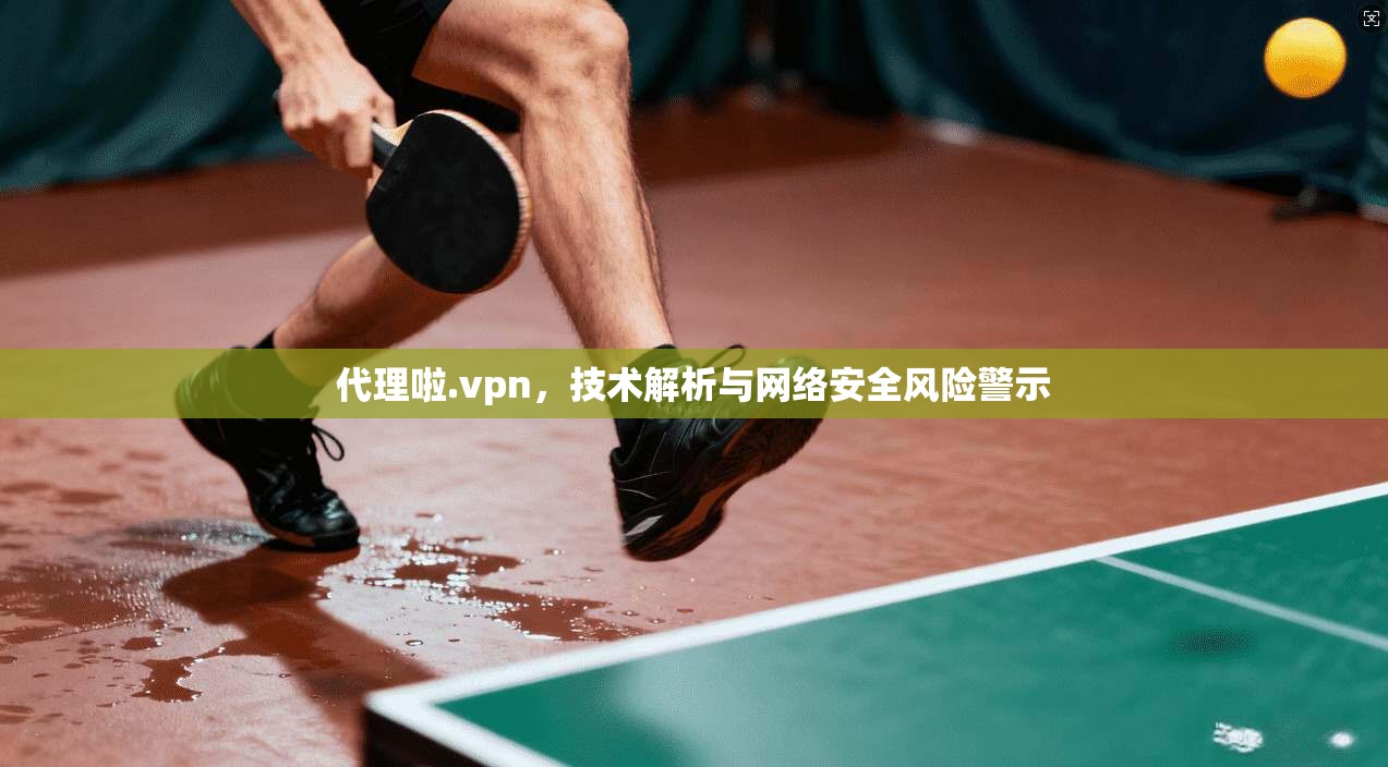 代理啦.vpn,技术解析与网络安全风险警示 代理啦.vpn,技术解析与网络安全风险警示