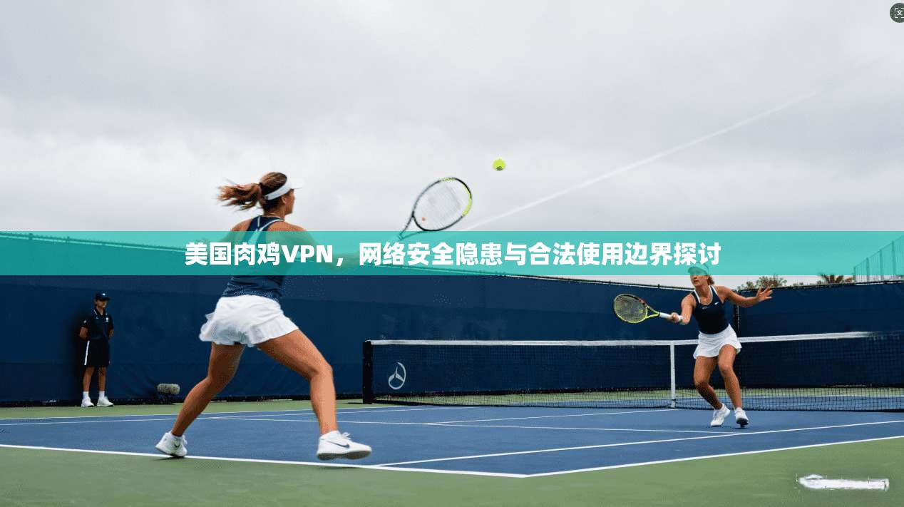 美国肉鸡VPN,网络安全隐患与合法使用边界探讨 美国肉鸡VPN,网络安全隐患与合法使用边界探讨
