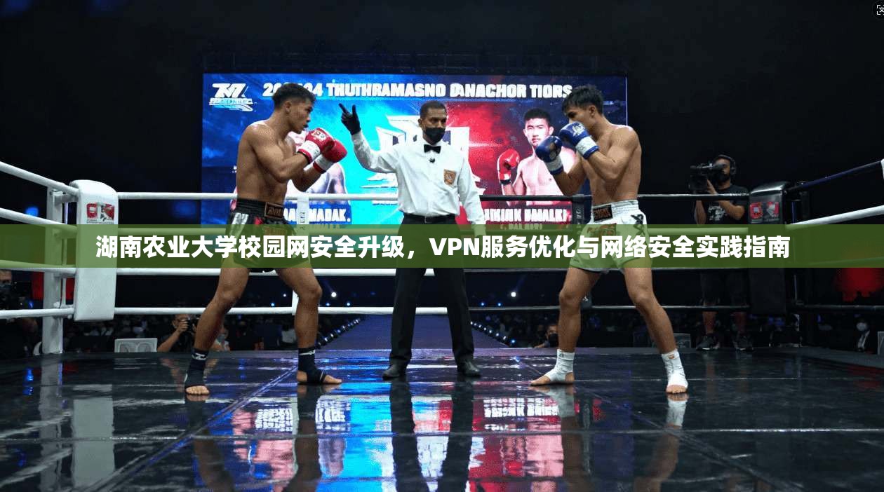 湖南农业大学校园网安全升级，VPN服务优化与网络安全实践指南
