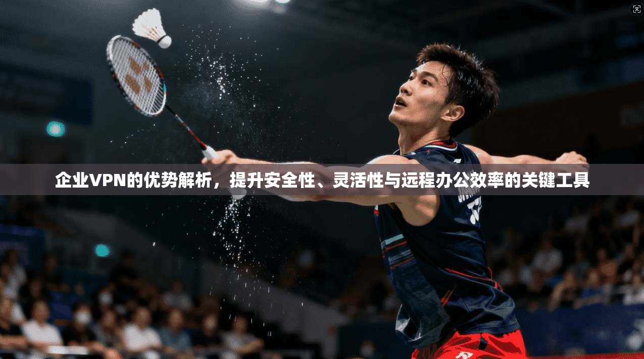 企业VPN的优势解析,提升安全性、灵活性与远程办公效率的关键工具 企业VPN的优势解析,提升安全性、灵活性与远程办公效率的关键工具