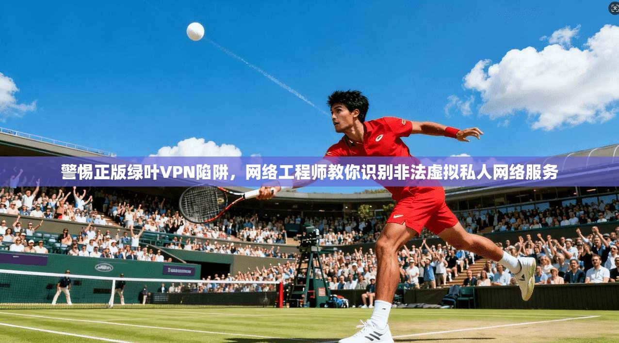 警惕正版绿叶VPN陷阱，网络工程师教你识别非法虚拟私人网络服务