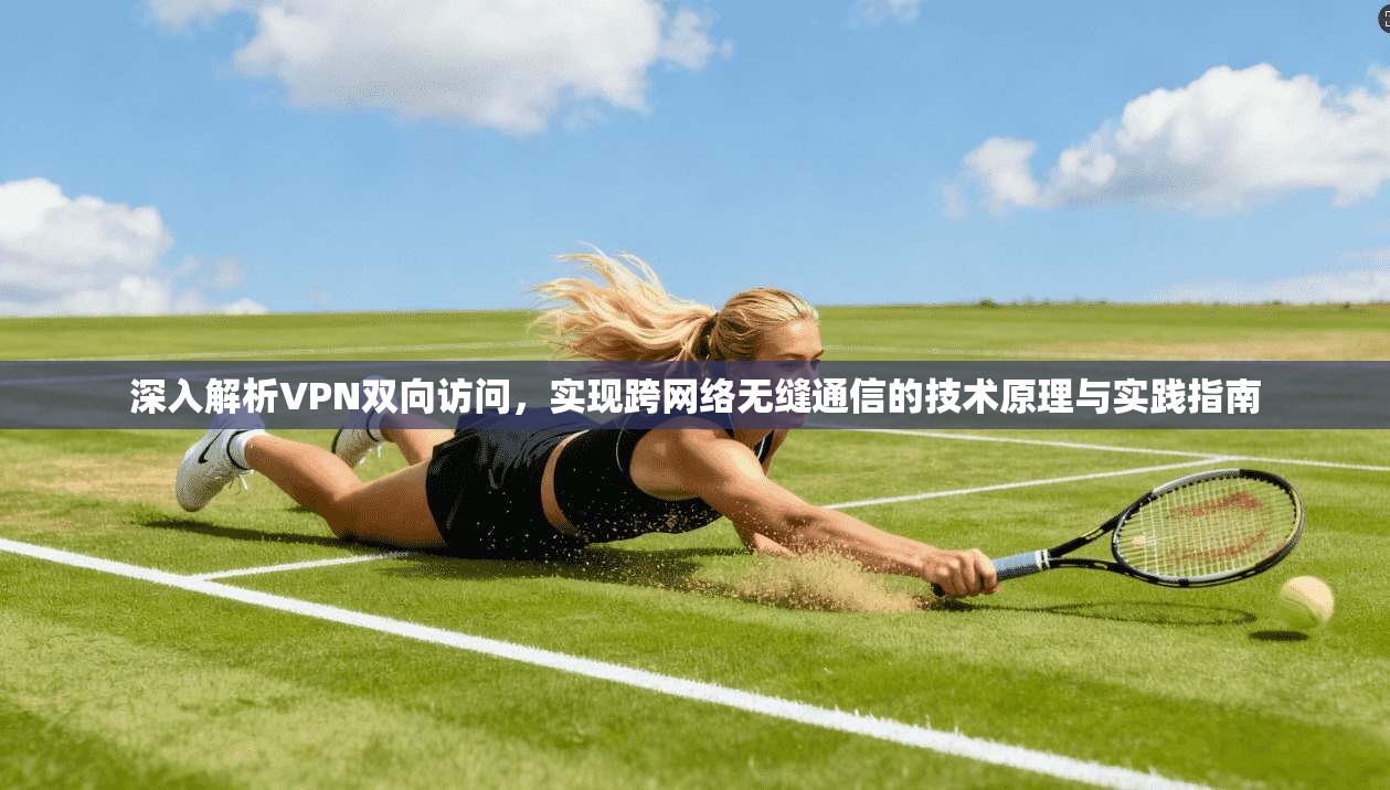 深入解析VPN双向访问，实现跨网络无缝通信的技术原理与实践指南