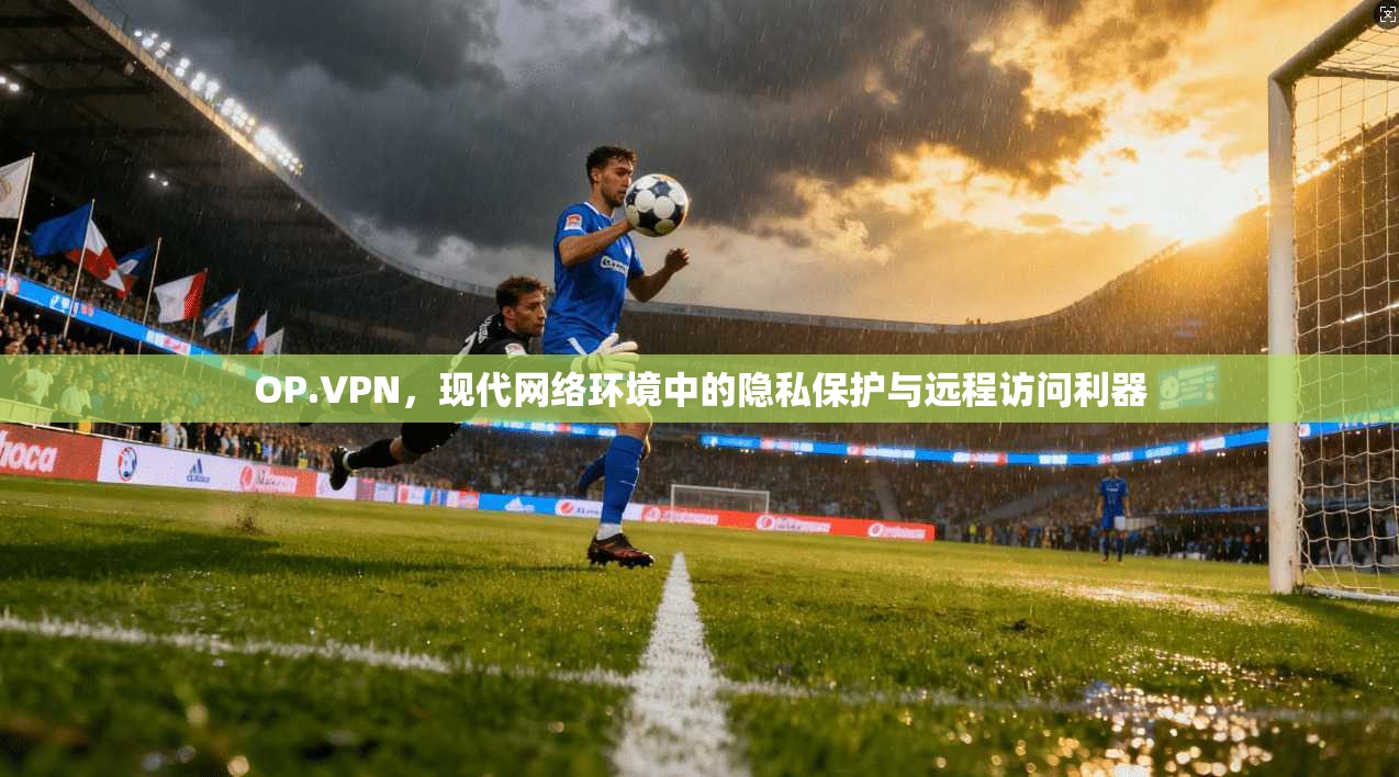 OP.VPN，现代网络环境中的隐私保护与远程访问利器