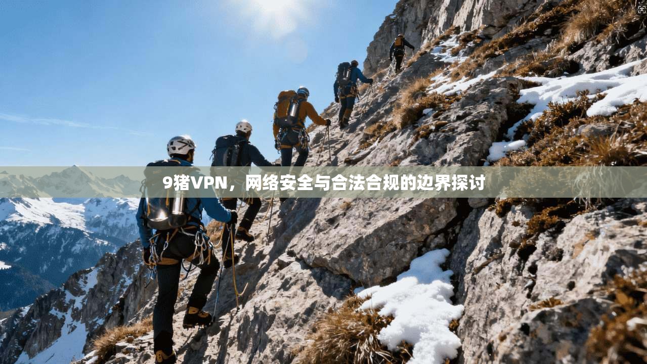 9猪VPN，网络安全与合法合规的边界探讨