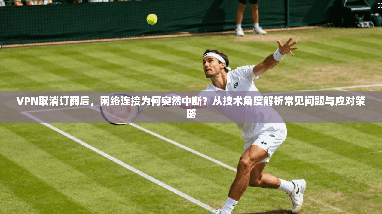 VPN取消订阅后，网络连接为何突然中断？从技术角度解析常见问题与应对策略
