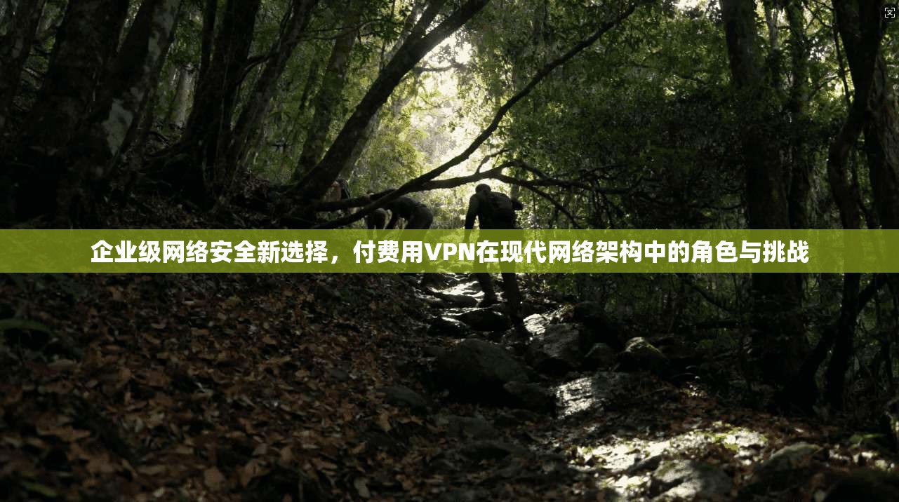 企业级网络安全新选择，付费用VPN在现代网络架构中的角色与挑战