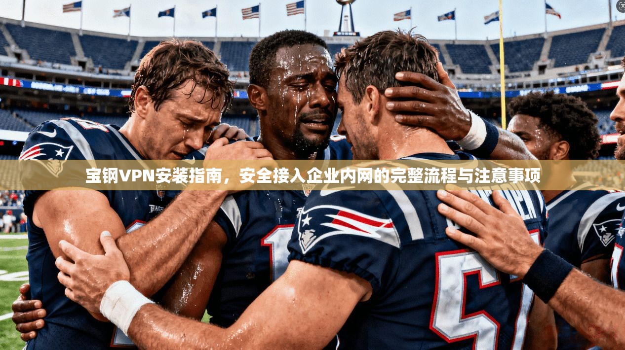 宝钢VPN安装指南，安全接入企业内网的完整流程与注意事项