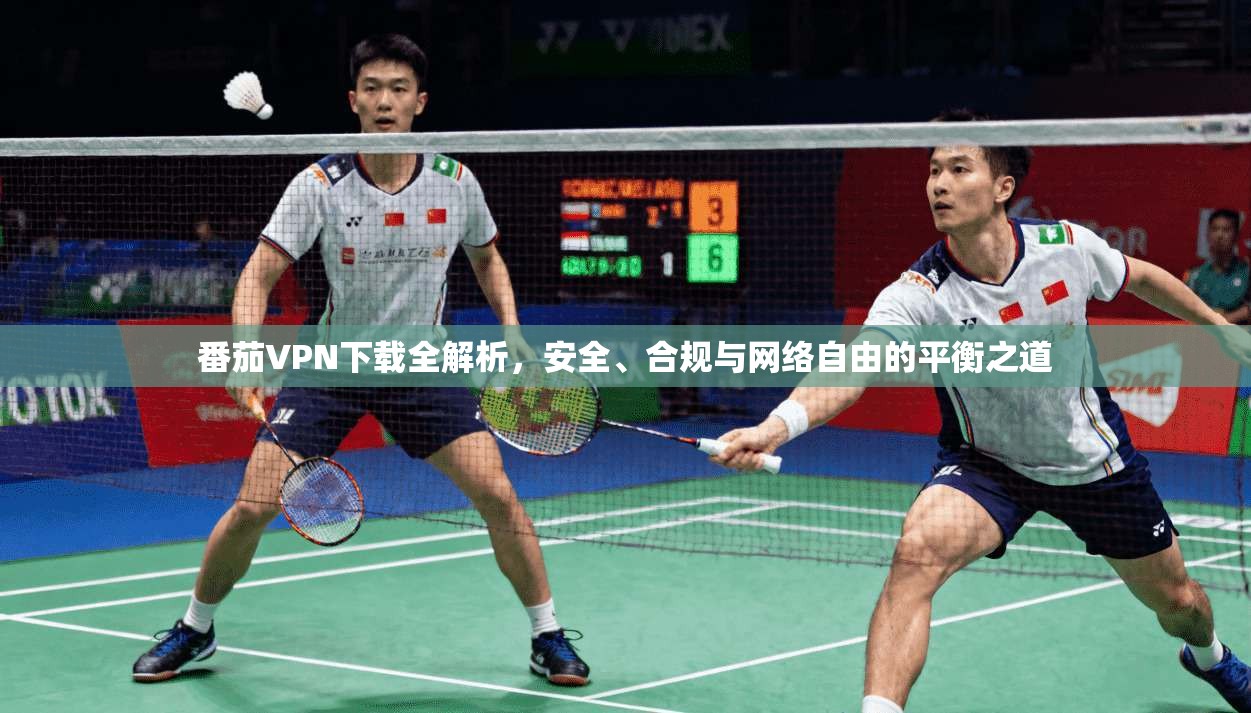 番茄VPN下载全解析，安全、合规与网络自由的平衡之道