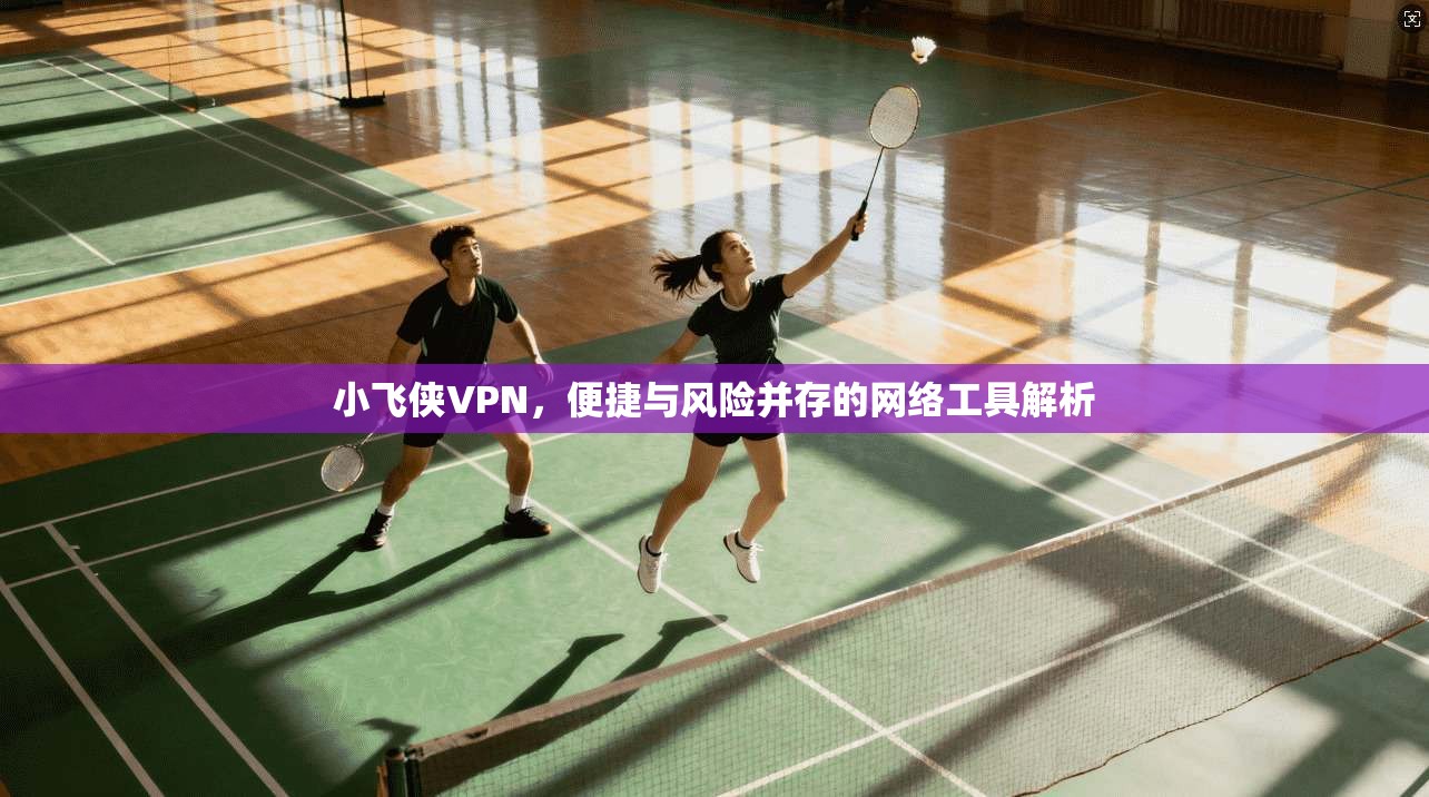 小飞侠VPN,便捷与风险并存的网络工具解析 小飞侠VPN,便捷与风险并存的网络工具解析