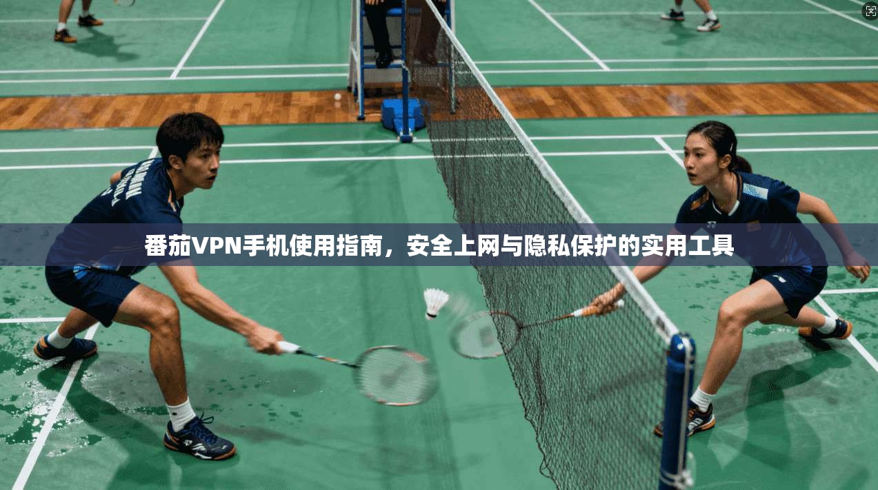 番茄VPN手机使用指南，安全上网与隐私保护的实用工具