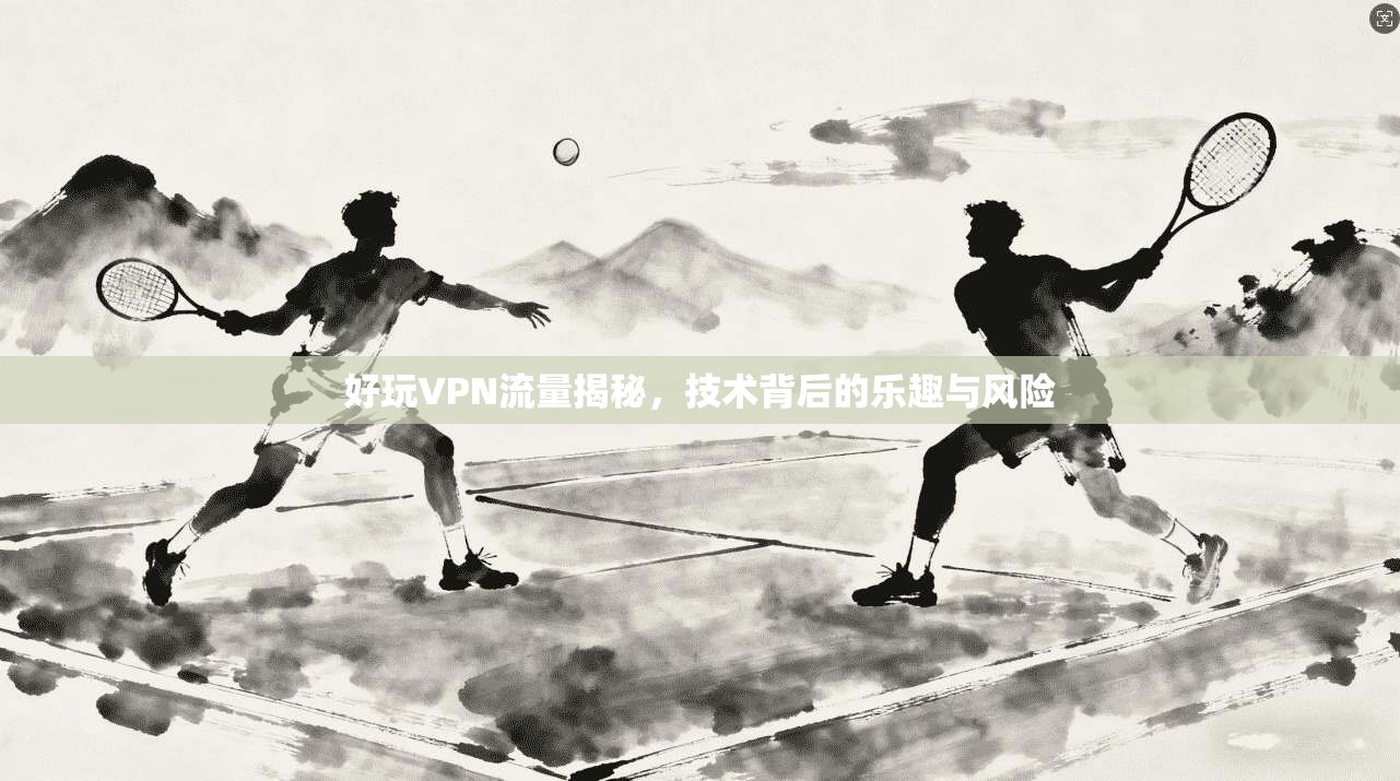 好玩VPN流量揭秘,技术背后的乐趣与风险 好玩VPN流量揭秘,技术背后的乐趣与风险