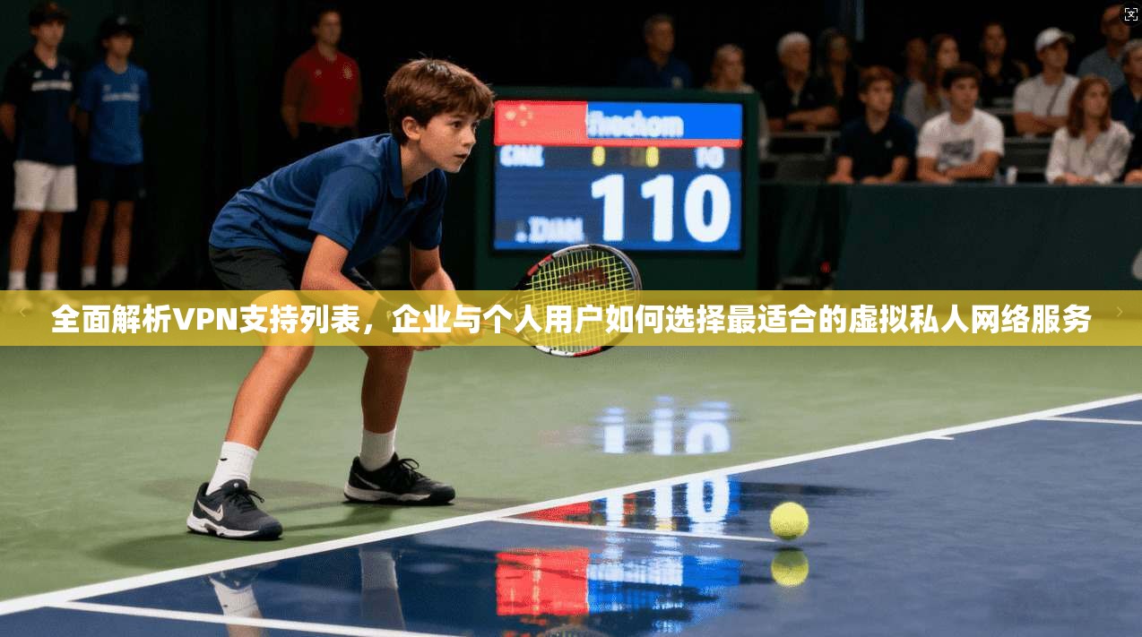 全面解析VPN支持列表，企业与个人用户如何选择最适合的虚拟私人网络服务