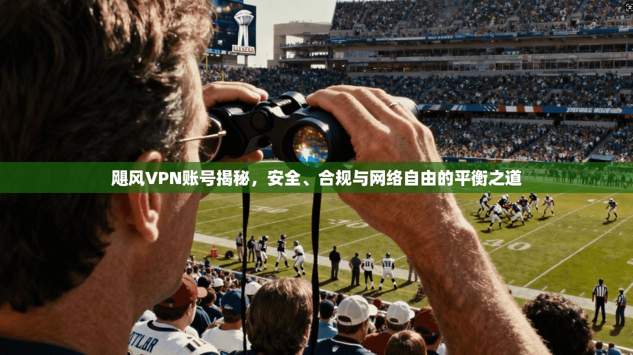 飓风VPN账号揭秘，安全、合规与网络自由的平衡之道