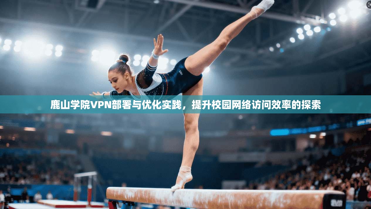 鹿山学院VPN部署与优化实践，提升校园网络访问效率的探索