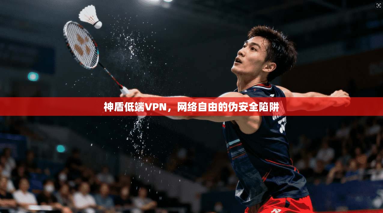 神盾低端VPN，网络自由的伪安全陷阱