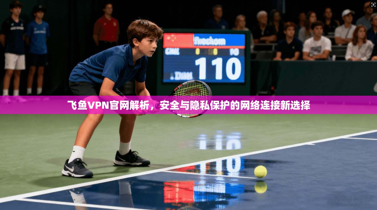 飞鱼VPN官网解析，安全与隐私保护的网络连接新选择