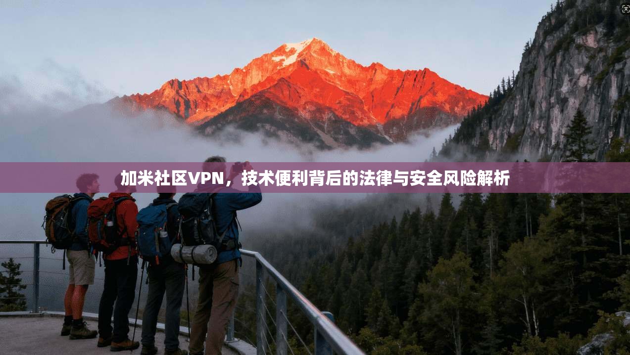 加米社区VPN，技术便利背后的法律与安全风险解析
