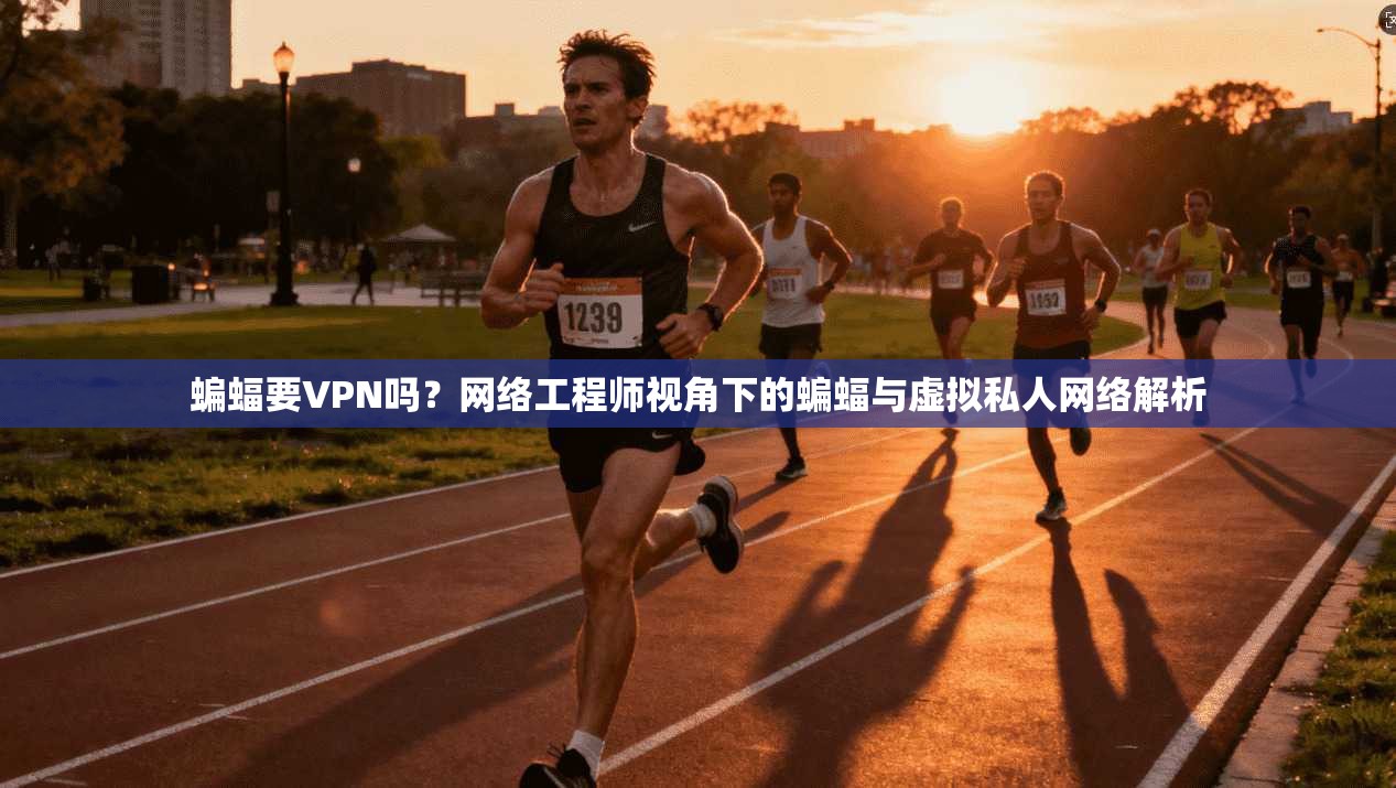 蝙蝠要VPN吗？网络工程师视角下的蝙蝠与虚拟私人网络解析