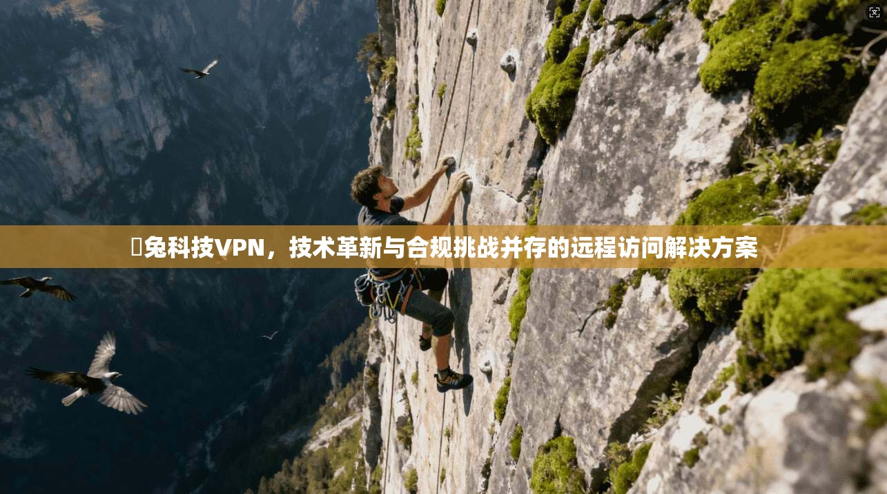 樂兔科技VPN，技术革新与合规挑战并存的远程访问解决方案