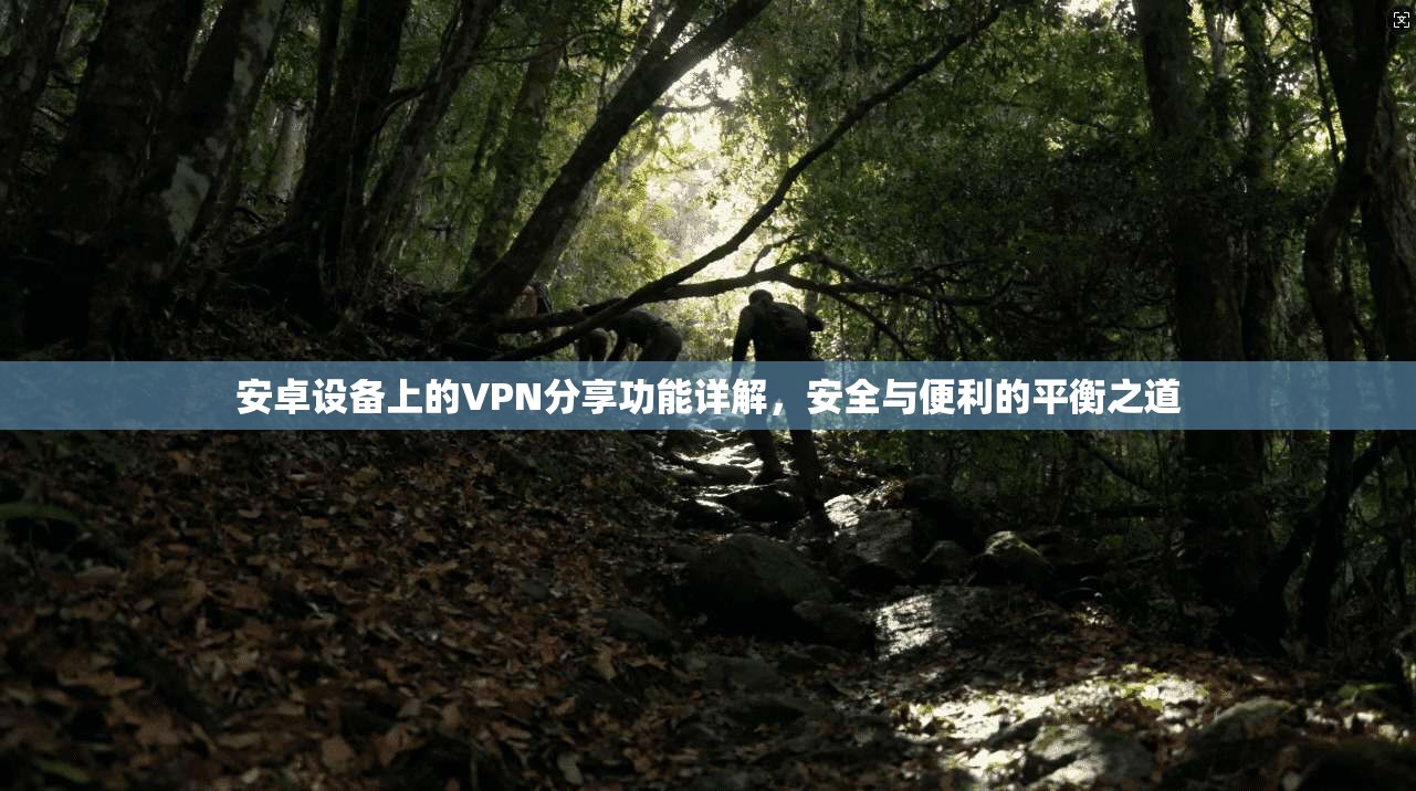 安卓设备上的VPN分享功能详解，安全与便利的平衡之道