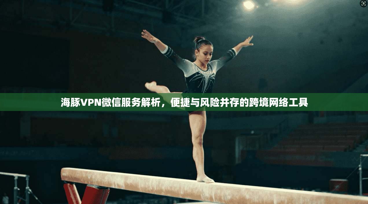 海豚VPN微信服务解析，便捷与风险并存的跨境网络工具